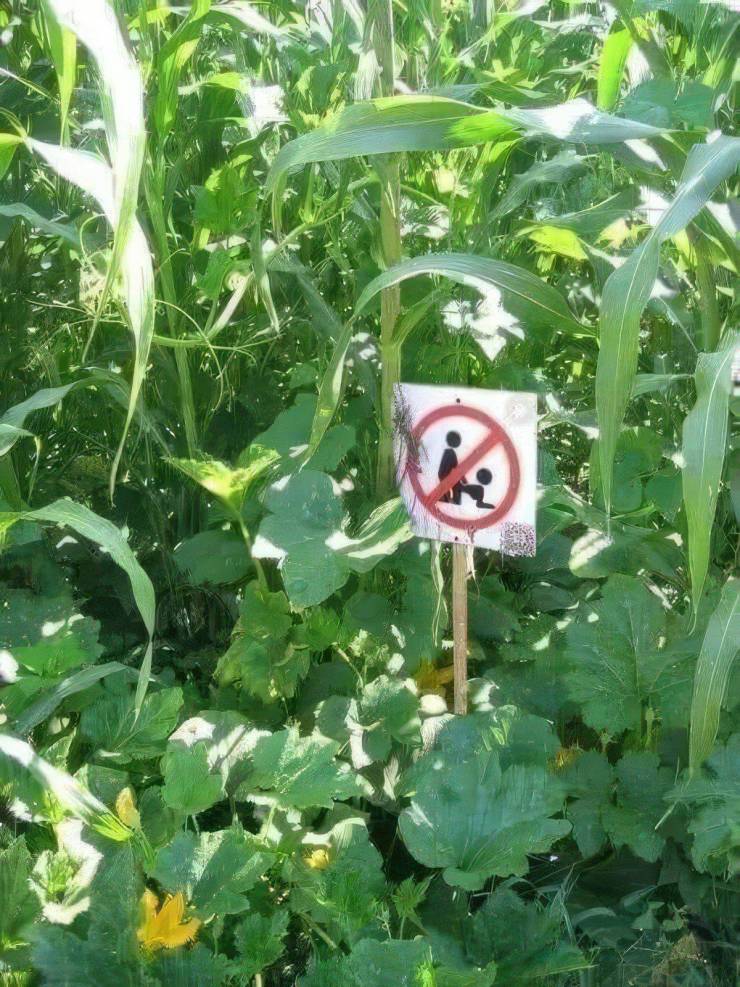 Dirty Mind, Come Here!