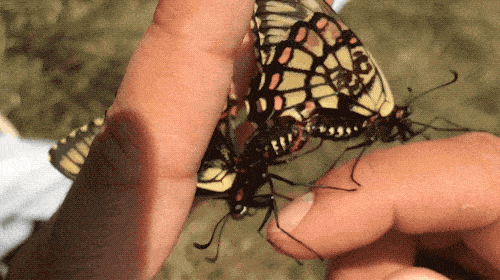 Fascinating Sex Facts From Every Corner