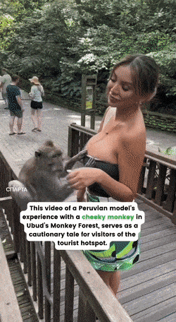 dirty minds only 31 gifs 8.html - 1 HD GIF | Premium Gallery 2023