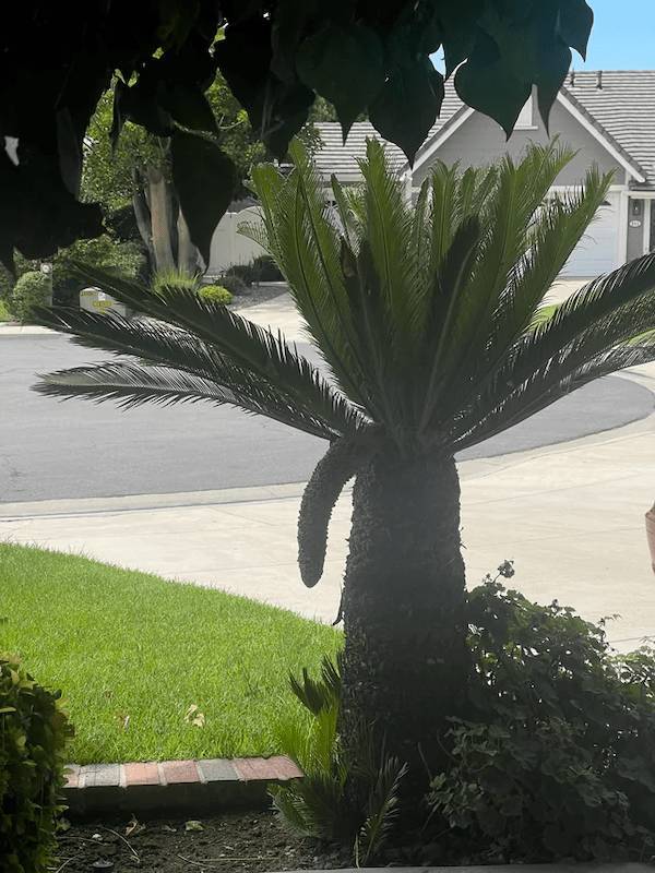 ooh thats dirty 51 pics 26.html - 51 HD Photos | Premium Gallery 2023