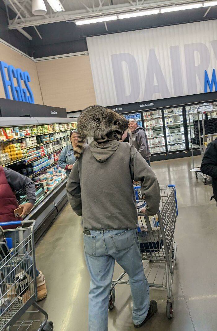 walmart visitors are very special 34 pics 10.html - 34 HD Photos | Premium Gallery 2023