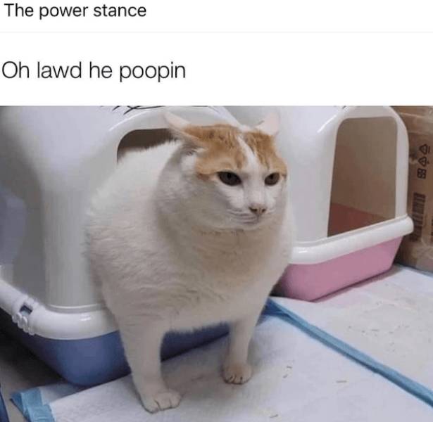 dirty minds only 65 pics 3 gifs 9.html - 65 HD GIF | Premium Gallery 2023