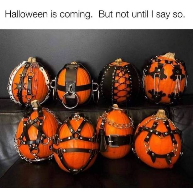 dirty minds only 65 pics 3 gifs 9.html - 65 HD GIF | Premium Gallery 2023