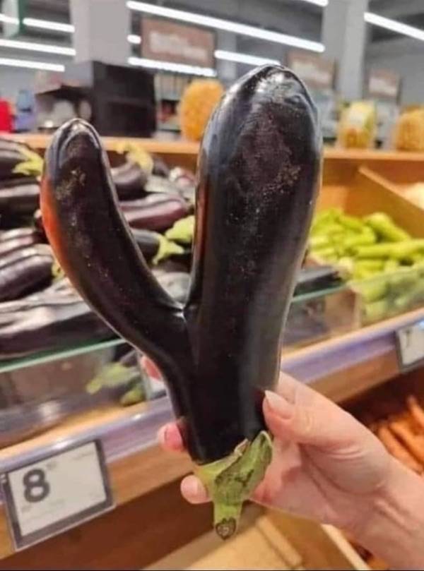 dirty minds only 65 pics 3 gifs 9.html - 65 HD GIF | Premium Gallery 2023