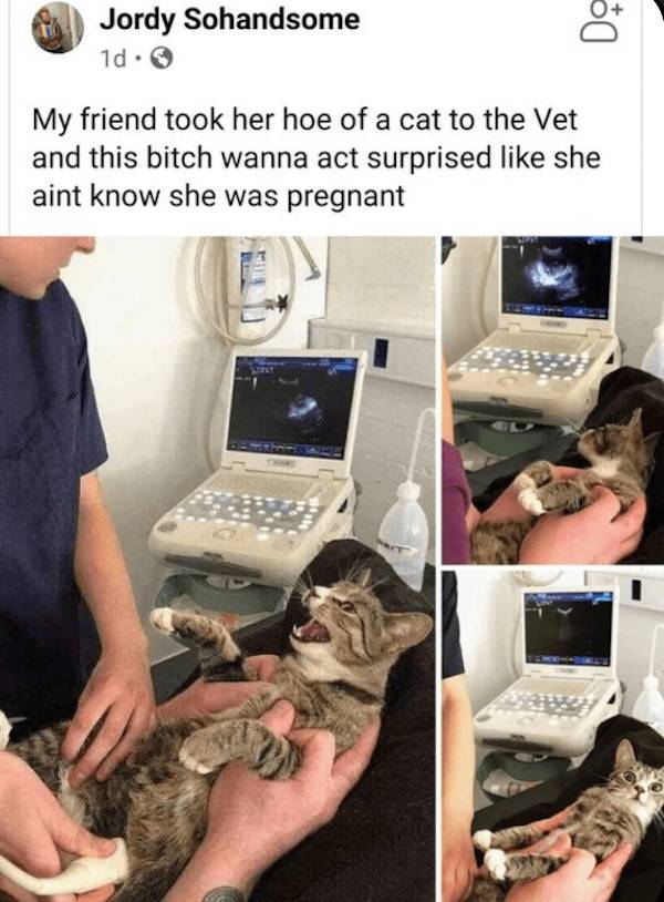 dirty mind come here 33 pics 2 gifs 5.html - 33 HD GIF | Premium Gallery 2023