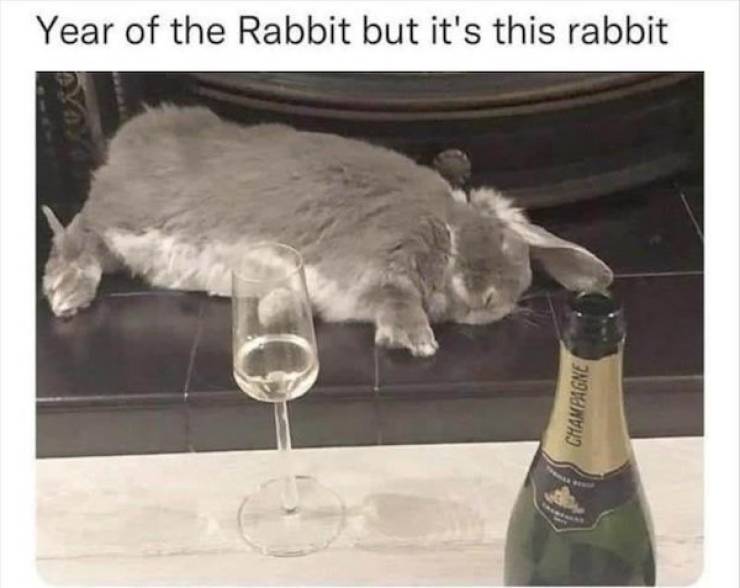 Drinking Never Ends...