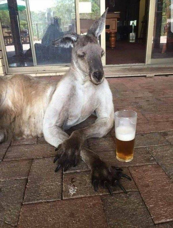Drinking Never Ends...