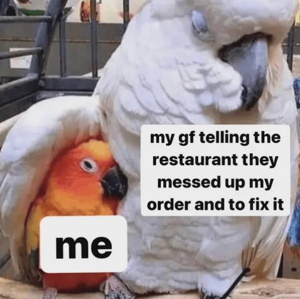 Sweetly Teasing: Memes To Share With Your Significant Other