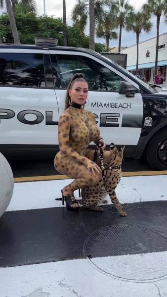 page,12,top 300 nsfw pics of the year 2024.html - 1 HD Photos | Premium Gallery 2024