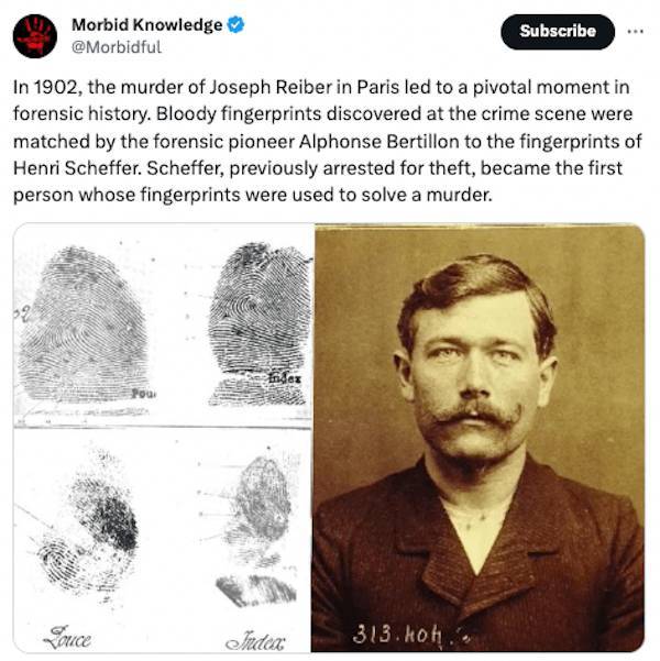 Unsettling Realities: Facts That Leave A Lasting Impression
