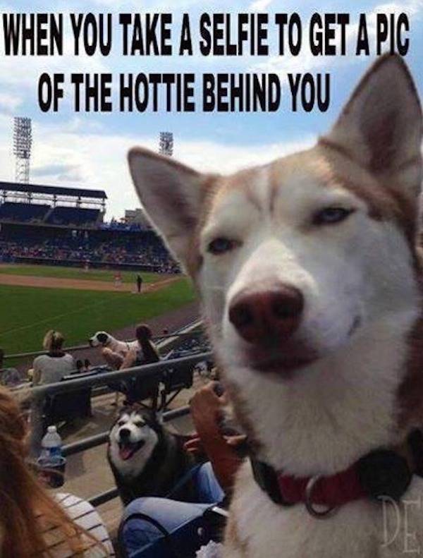 dirty minds only 46 pics 1 gif 21.html - 46 HD GIF | Premium Gallery 2024