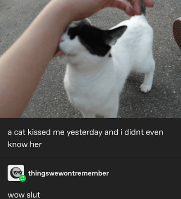 dirty minds only 46 pics 1 gif 21.html - 46 HD GIF | Premium Gallery 2024