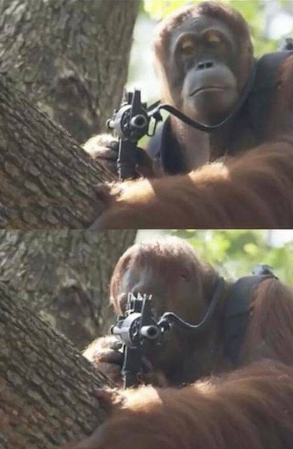 dirty minds only 46 pics 1 gif 21.html - 46 HD GIF | Premium Gallery 2024