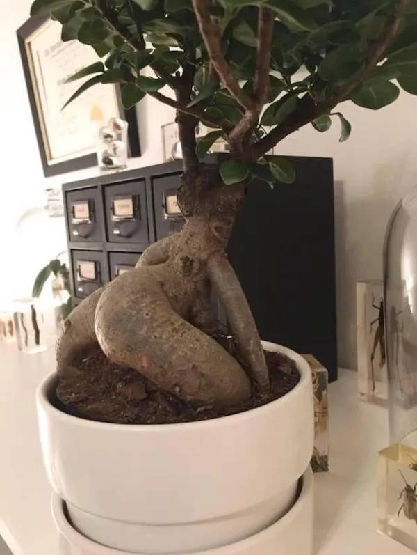 nsfw memes for grownups 34 pics 13.html - 34 HD Photos | Premium Gallery 2024