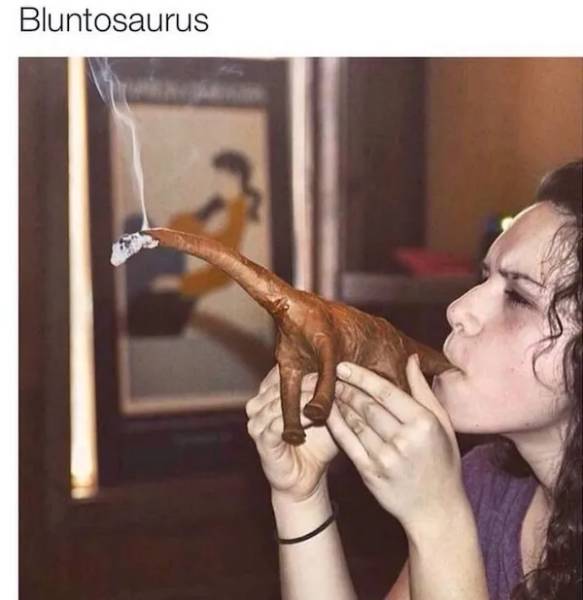 These Memes Are Already Stoned