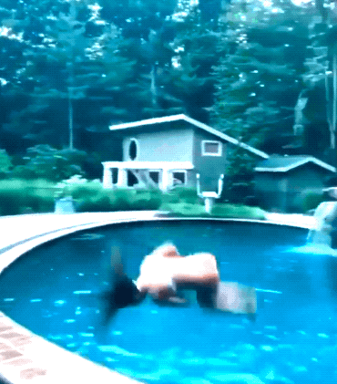 so wet and so sexy 27 gifs 4.html - 1 HD GIF | Premium Gallery 2024