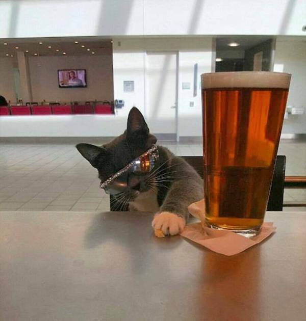 Drinking Time!