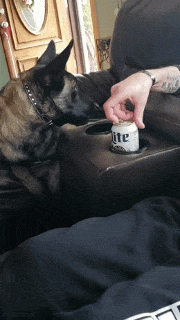 drinking time 42 pics 6 gifs 10.html - 42 HD GIF | Premium Gallery 2024