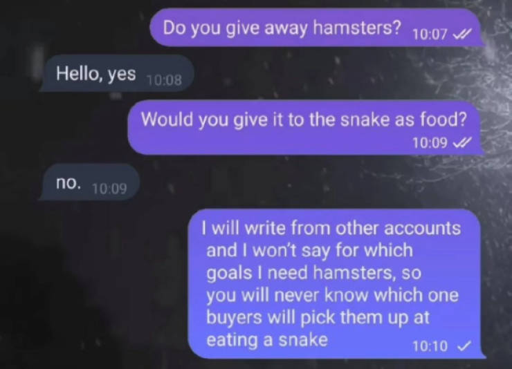 hold on a second 25 pics 17.html - 25 HD Photos | Premium Gallery 2024