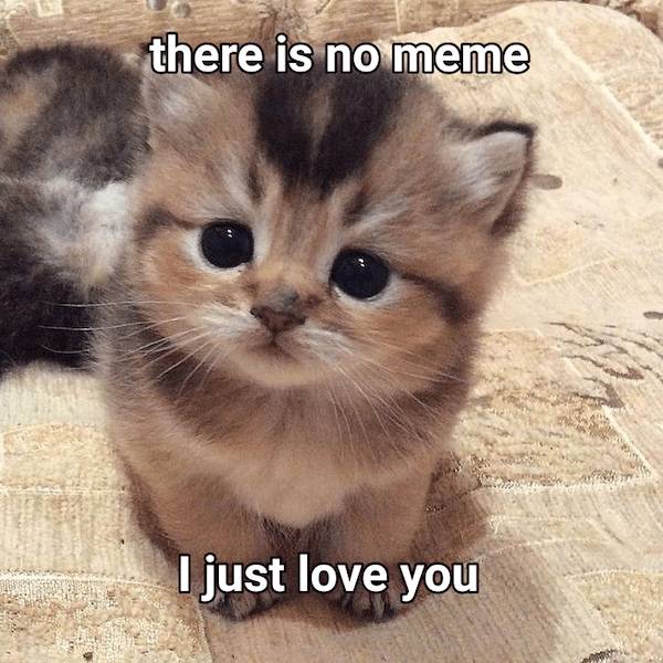 Flirty Memes To Spice Up Your Messages