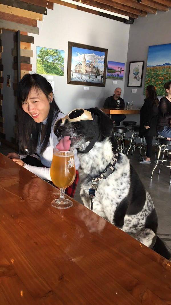 drinking time 44 pics 5 gifs 43.html - 44 HD GIF | Premium Gallery 2024