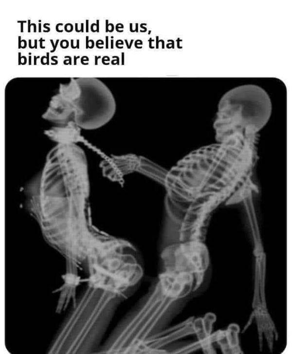 nsfw memes to add some spice to your life 45 pics 13.html - 45 HD Photos | Premium Gallery 2024