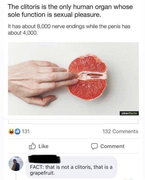 nsfw memes to add some spice to your life 45 pics 13.html - 45 HD Photos | Premium Gallery 2024