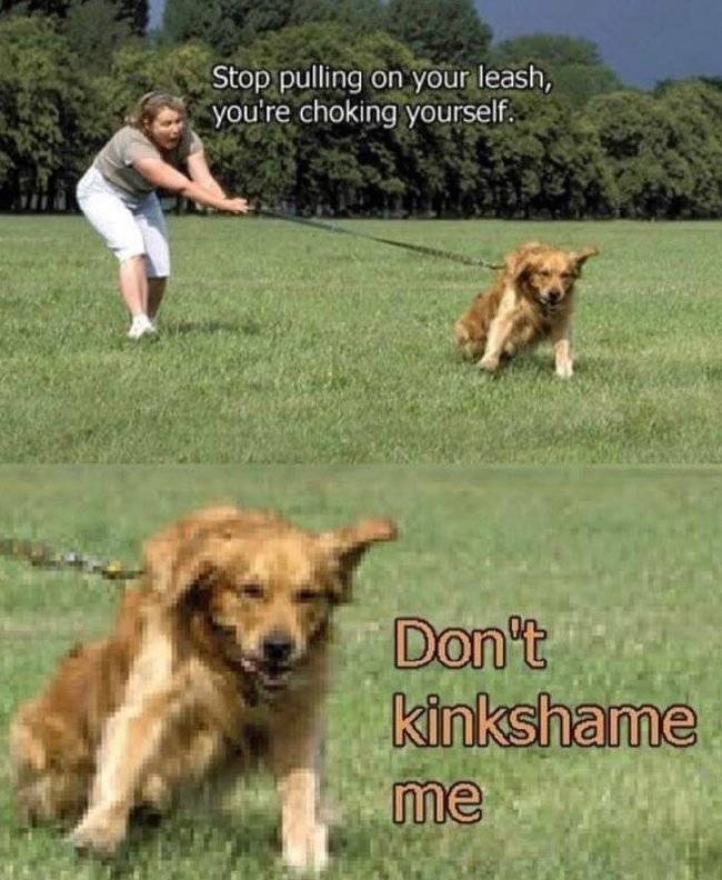nsfw memes to add some spice to your life 45 pics 13.html - 45 HD Photos | Premium Gallery 2024