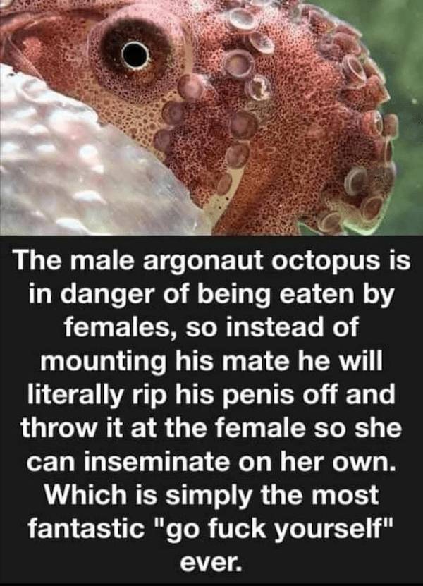 nsfw memes to add some spice to your life 45 pics 13.html - 45 HD Photos | Premium Gallery 2024
