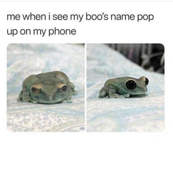 Flirty Memes To Spice Up Your Messages