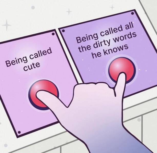 flirty memes to spice up your messages 31 pics 4.html - 31 HD Photos | Premium Gallery 2024
