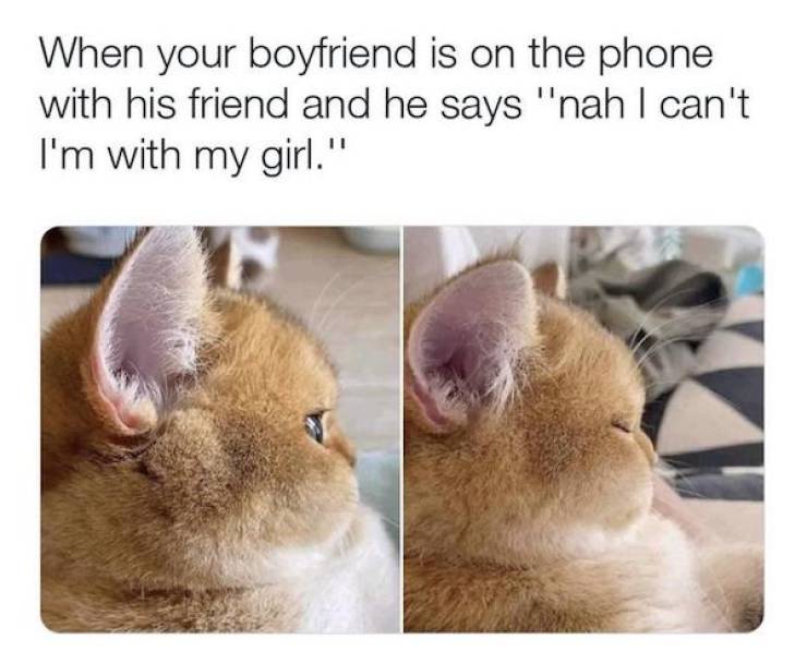 flirty memes to spice up your messages 31 pics 4.html - 31 HD Photos | Premium Gallery 2024