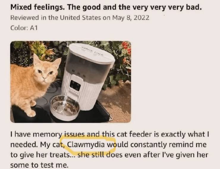 dirty minds only 49 pics 20.html - 49 HD Photos | Premium Gallery 2024