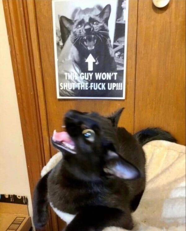 dirty minds only 49 pics 20.html - 49 HD Photos | Premium Gallery 2024