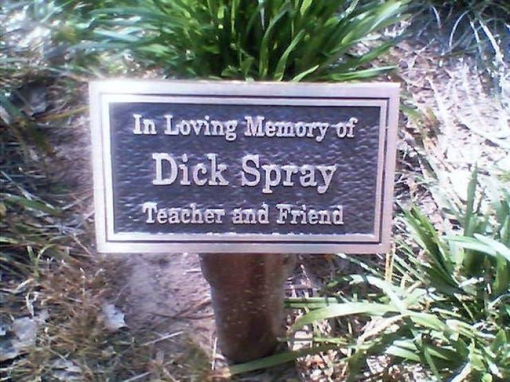 unbelievably real names cursed or blessed 41 pics 4.html - 41 HD Photos | Premium Gallery 2024