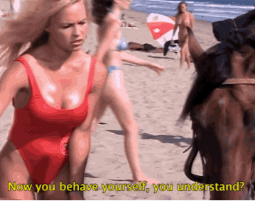 pamela anderson icon of glamour 17 gifs 1.html - 1 HD GIF | Premium Gallery 2024