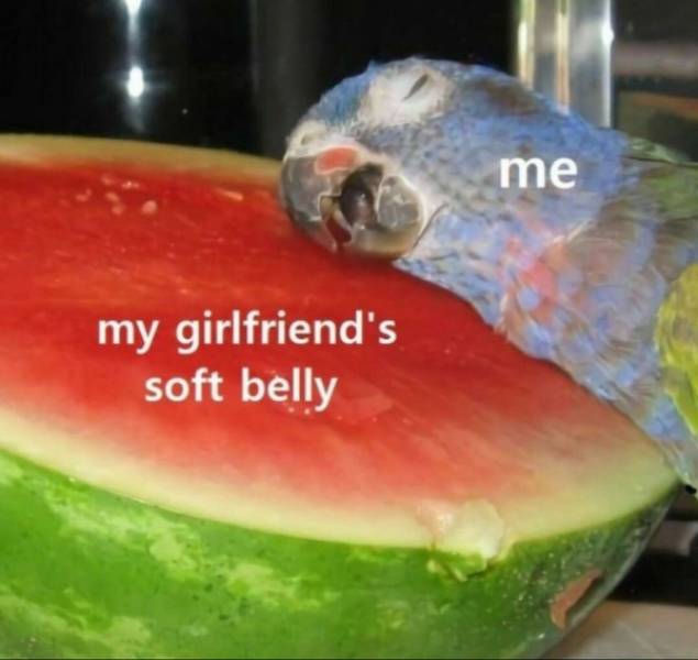 flirty memes to send your better half 34 pics 8.html - 34 HD Photos | Premium Gallery 2024