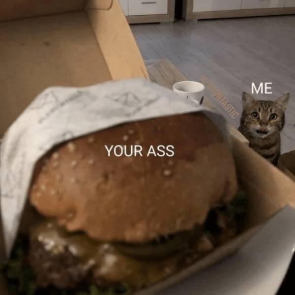 nsfw memes to add some spice to your life 32 pics 8.html - 32 HD Photos | Premium Gallery 2024