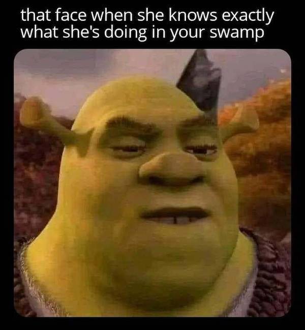 nsfw memes to add some spice to your life 32 pics 8.html - 32 HD Photos | Premium Gallery 2024