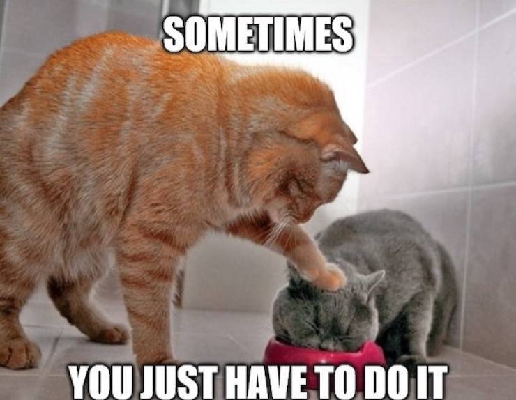 pg13 memes with rrated vibes 43 pics 16.html - 43 HD Photos | Premium Gallery 2024