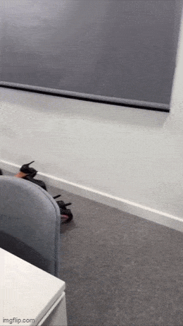 Hot Girls Are Here For You!