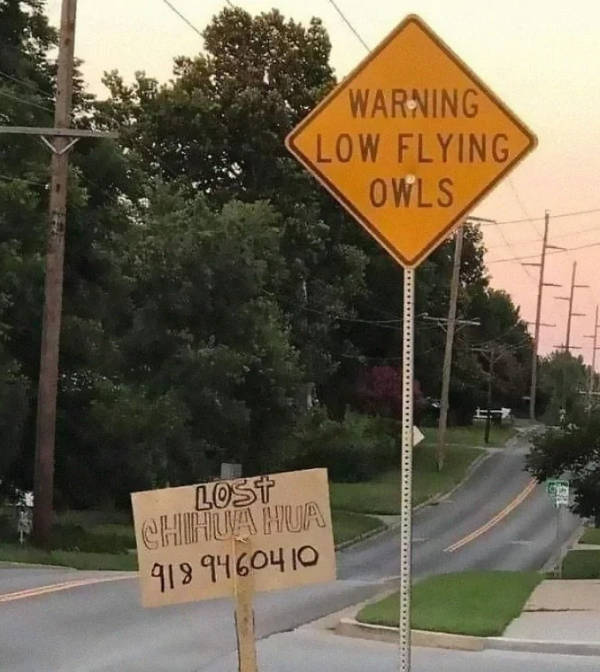 just hold up 36 pics 8.html - 36 HD Photos | Premium Gallery 2024