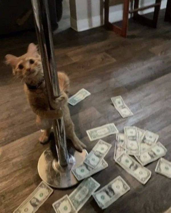 dirty minds are welcome 39 pics 27.html - 39 HD Photos | Premium Gallery 2024