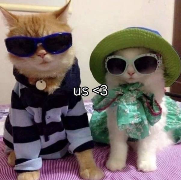 flirty memes to send your better half 30 pics 14.html - 30 HD Photos | Premium Gallery 2024