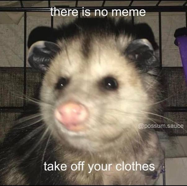 flirty memes to send your better half 30 pics 14.html - 30 HD Photos | Premium Gallery 2024