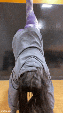hot girls are here for you 32 gifs 8.html - 1 HD GIF | Premium Gallery 2024