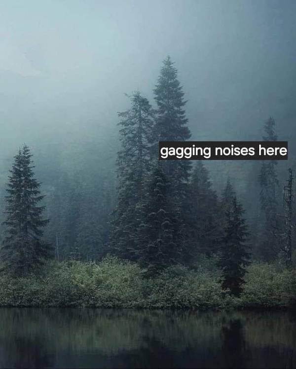 nsfw laughs for grownups 33 pics 14.html - 33 HD Photos | Premium Gallery 2024