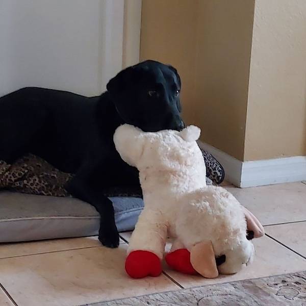 dirty minds are welcome 34 pics 26.html - 34 HD Photos | Premium Gallery 2024