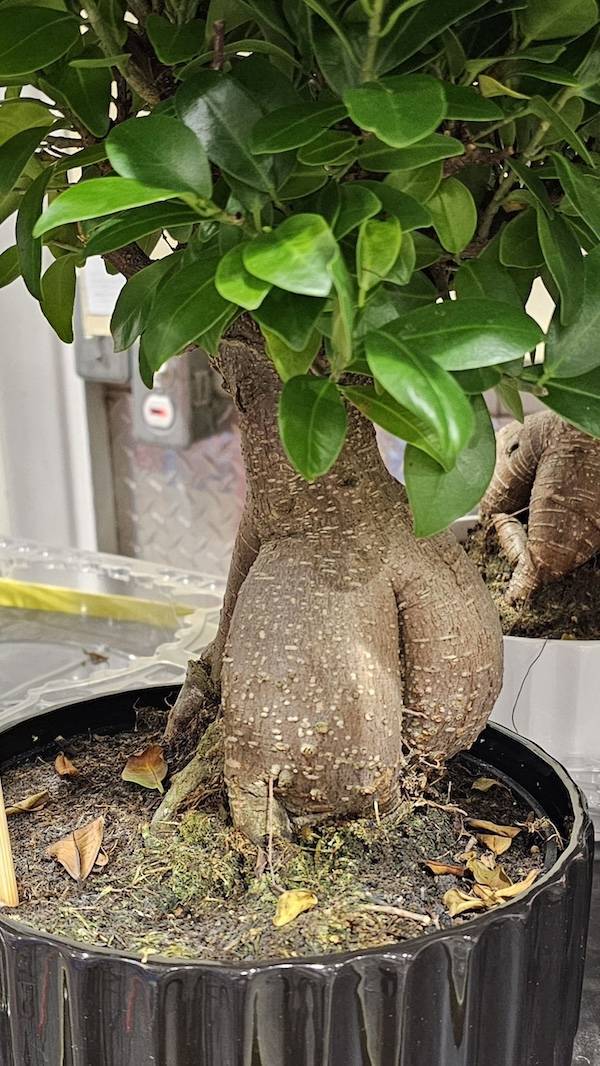 dirty minds are welcome 36 pics 2 gifs 5.html - 36 HD GIF | Premium Gallery 2024