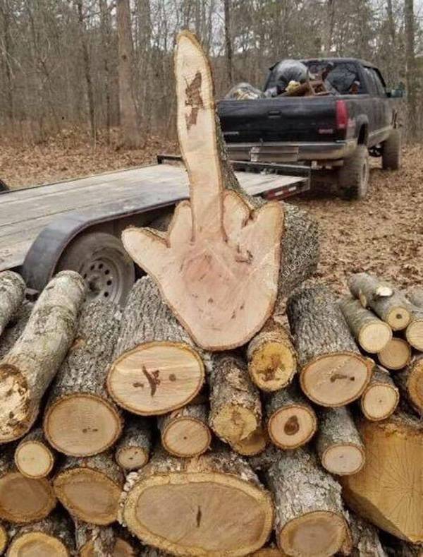 dirty minds are welcome 36 pics 2 gifs 5.html - 36 HD GIF | Premium Gallery 2024